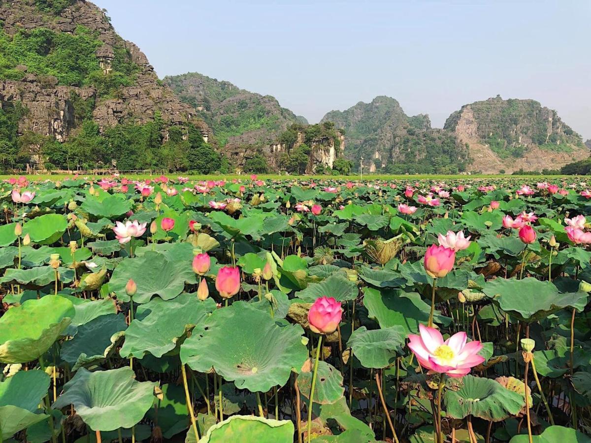 Tam Coc Heart Homestay ニンビン エクステリア 写真